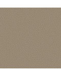 Shaw MAKE IT YOURS (S) Northern Cliffs Carpet - SH-E0819-00711