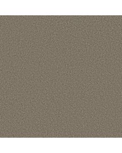Shaw MAKE IT YOURS (S) Driftwood Solid Carpet - SH-E0819-00750