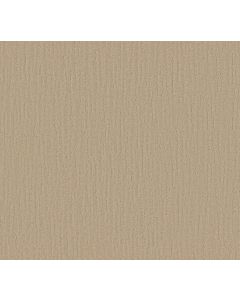 Shaw BANDON DUNES Dunes Carpet - SH-E0823-00102