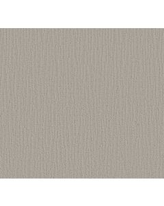 Shaw BANDON DUNES Sea Salt Carpet - SH-E0823-00512