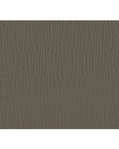 Shaw BANDON DUNES Charcoal Carpet - SH-E0823-00539