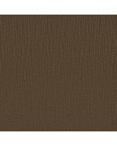 Shaw BANDON DUNES Mocha Chip Carpet - SH-E0823-00705
