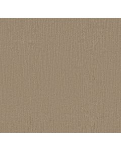 Shaw BANDON DUNES Hiking Trail Carpet - SH-E0823-00753