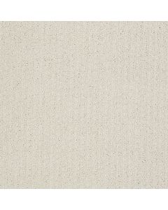 Shaw PACIFIC TRAILS Canvas Carpet - SH-E0824-00103