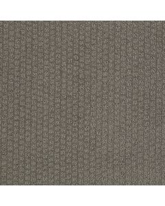 Shaw PACIFIC TRAILS Charcoal Carpet - SH-E0824-00539
