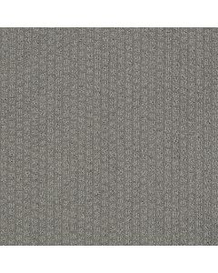 Shaw PACIFIC TRAILS Titanium Carpet - SH-E0824-00544