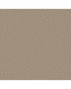 Shaw COLOR FLAIR Resort Sand Carpet - SH-E0852-00101