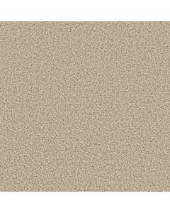 Shaw COLOR FLAIR Dandelion Carpet - SH-E0852-00102