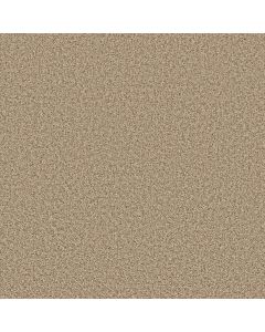 Shaw COLOR FLAIR Cornmeal Carpet - SH-E0852-00103