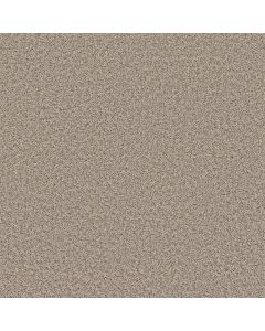 Shaw COLOR FLAIR Oyster Carpet - SH-E0852-00104