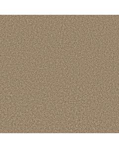 Shaw COLOR FLAIR Natural Wood Carpet - SH-E0852-00105