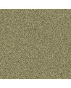 Shaw COLOR FLAIR Citrus Splash Carpet - SH-E0852-00300