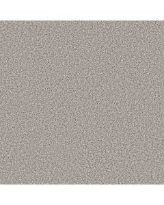 Shaw COLOR FLAIR Sterling Haze Carpet - SH-E0852-00500