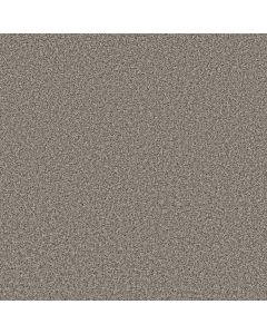 Shaw COLOR FLAIR Dolphin Carpet - SH-E0852-00501