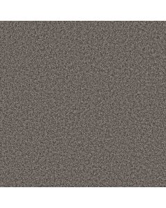 Shaw COLOR FLAIR Gray Flannel Carpet - SH-E0852-00504