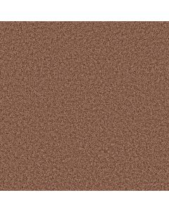 Shaw COLOR FLAIR Summer Coral Carpet - SH-E0852-00600