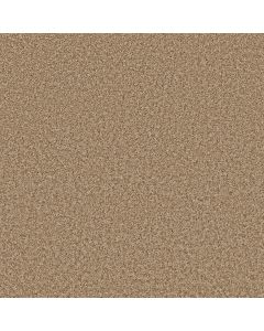 Shaw COLOR FLAIR Honey Butter Carpet - SH-E0852-00700
