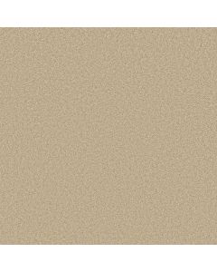 Shaw LAGUNA BEACH Sandy Shore Carpet - SH-E0868-00101
