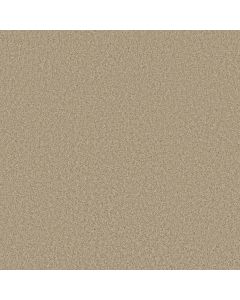 Shaw LAGUNA BEACH French Canvas Carpet - SH-E0868-00102