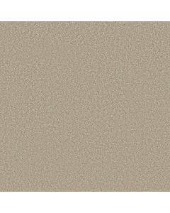 Shaw LAGUNA BEACH Soft Chamois Carpet - SH-E0868-00103