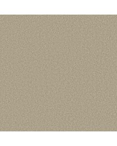 Shaw LAGUNA BEACH Linen Carpet - SH-E0868-00104