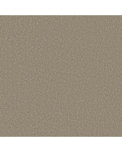 Shaw LAGUNA BEACH Mocha Cream Carpet - SH-E0868-00105