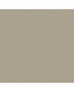 Shaw LAGUNA BEACH Greige Carpet - SH-E0868-00106