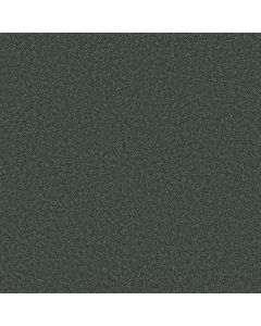 Shaw LAGUNA BEACH Seacliff Heights Carpet - SH-E0868-00300
