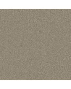 Shaw LAGUNA BEACH Radiance Carpet - SH-E0868-00500
