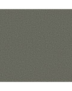 Shaw LAGUNA BEACH Marble Gray Carpet - SH-E0868-00503