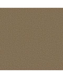 Shaw LAGUNA BEACH Acorn Carpet - SH-E0868-00700
