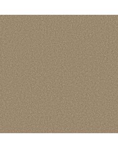 Shaw LAGUNA BEACH Havana Carpet - SH-E0868-00701