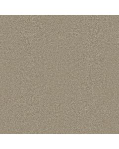 Shaw LAGUNA BEACH Coastal Fog Carpet - SH-E0868-00702