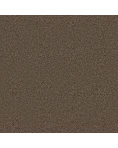 Shaw LAGUNA BEACH Maple Carpet - SH-E0868-00707