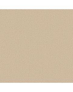 Shaw SOMETHING SWEET Plaster Carpet - SH-E0881-00103