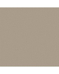 Shaw SOMETHING SWEET Reflection Carpet - SH-E0881-00116