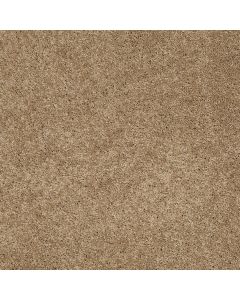 Shaw SOMETHING SWEET Mahogany Carpet - SH-E0881-00703