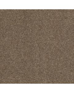 Shaw SOMETHING SWEET Kensington Carpet - SH-E0881-00704