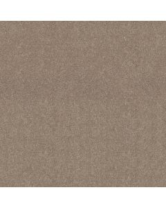 Shaw DYERSBURG CLASSIC 12' Antique Silk Carpet - SH-E0947-00131