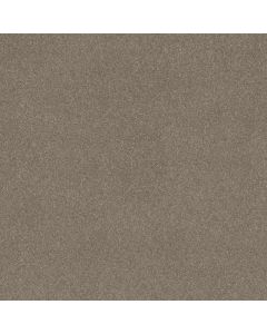 Shaw DYERSBURG CLASSIC 12' Pebble Path Carpet - SH-E0947-00132