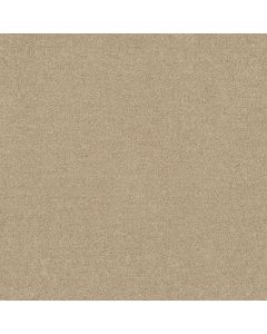 Shaw DYERSBURG CLASSIC 12' Casual Cream Carpet - SH-E0947-00230