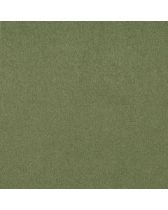 Shaw DYERSBURG CLASSIC 12' Going Green Carpet - SH-E0947-00330