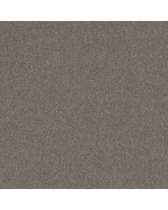 Shaw DYERSBURG CLASSIC 12' Haze Carpet - SH-E0947-00531