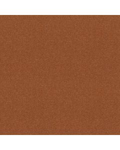 Shaw DYERSBURG CLASSIC 12' Sunburst Carpet - SH-E0947-00630