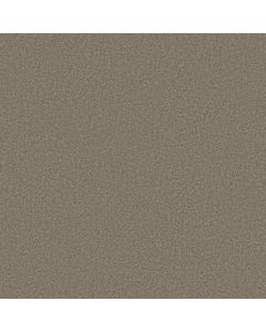Shaw DYERSBURG CLASSIC 15' Pebble Path Carpet - SH-E0948-00132
