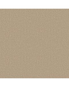 Shaw DYERSBURG CLASSIC 15' Casual Cream Carpet - SH-E0948-00230