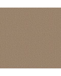 Shaw DYERSBURG CLASSIC 15' Straw Hat Carpet - SH-E0948-00260