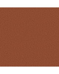 Shaw DYERSBURG CLASSIC 15' Sunburst Carpet - SH-E0948-00630