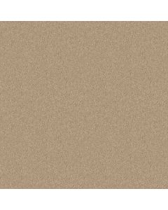 Shaw NEWBERN CLASSIC 12' Crisp Linen Carpet - SH-E0949-00109