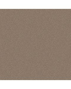 Shaw NEWBERN CLASSIC 12' Antique Silk Carpet - SH-E0949-00131